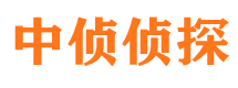 漠河市婚外情调查